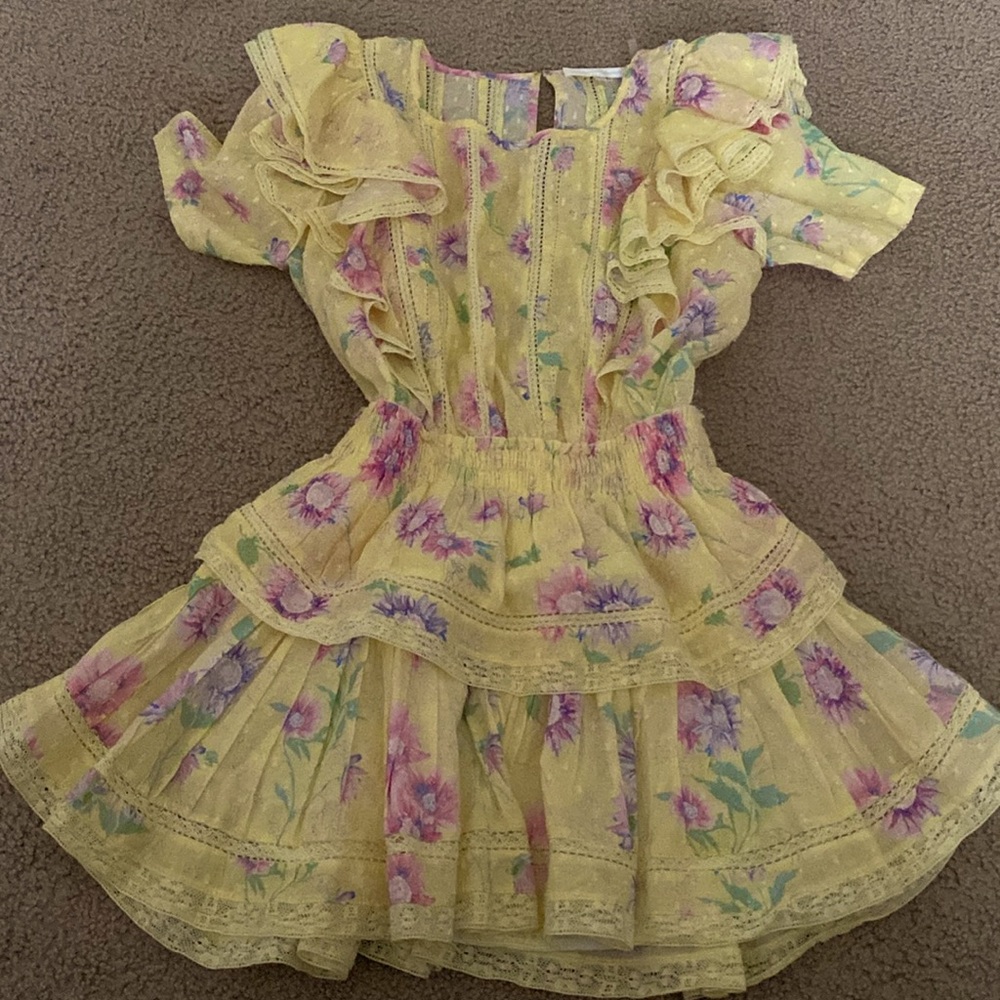 Natasha Ruffle Mini Fit and Flare Dress